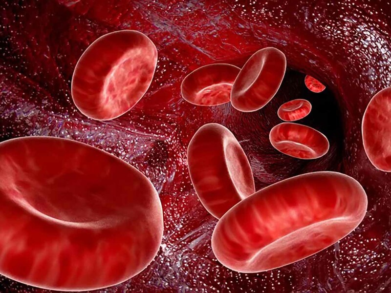 Myoglobin sinh ra nhiều hơn sau cơn nhồi máu cơ tim