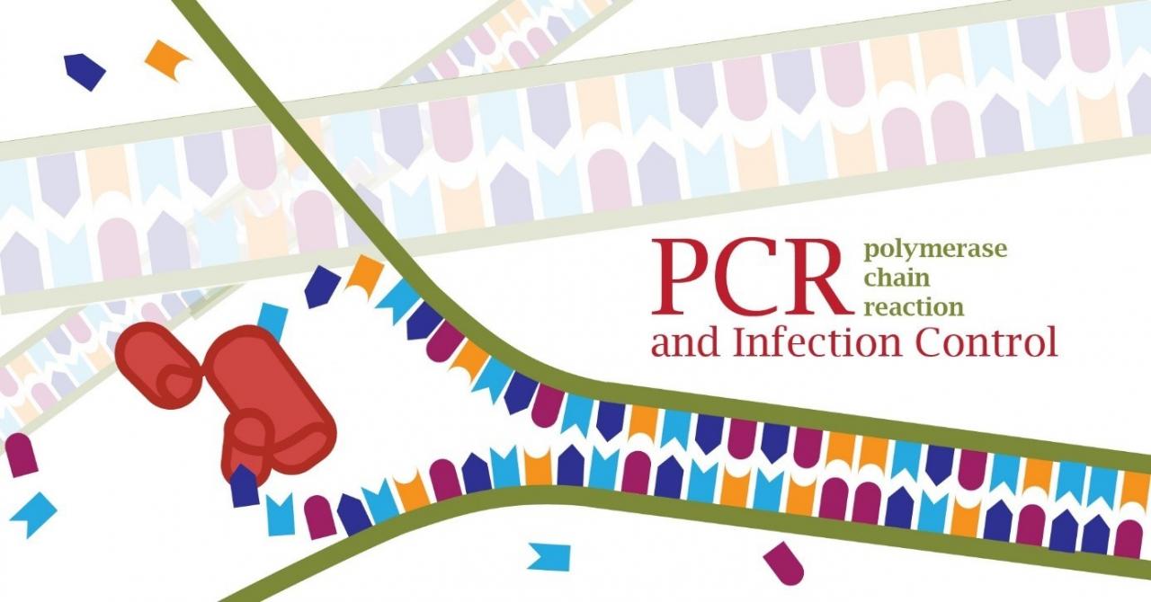 PCR và kiểm soát nhiễm khuẩn